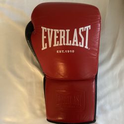 Everlast Boxing Gloves