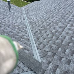 Shingles Roof