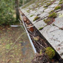 Roof And Gutter Cleaninig
