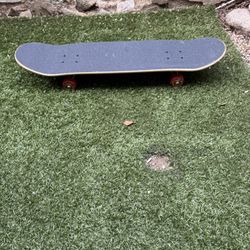 Skateboard