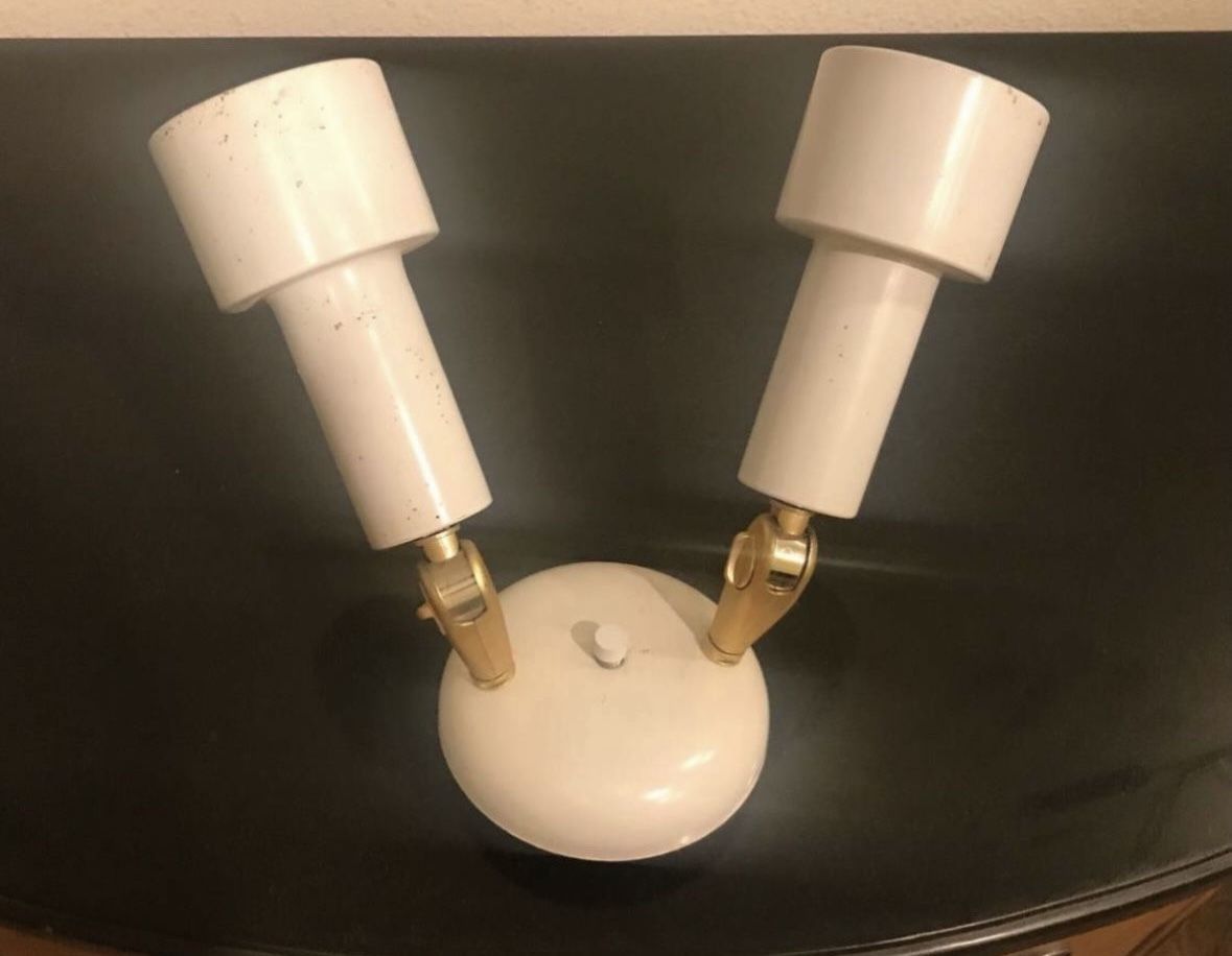 White Wall Or Ceiling Mount Adjustable Spot Gallery Art Light Fixture