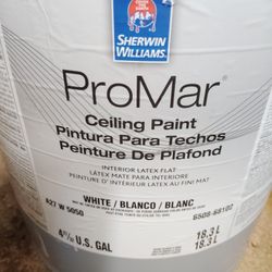 New 5gal Paint