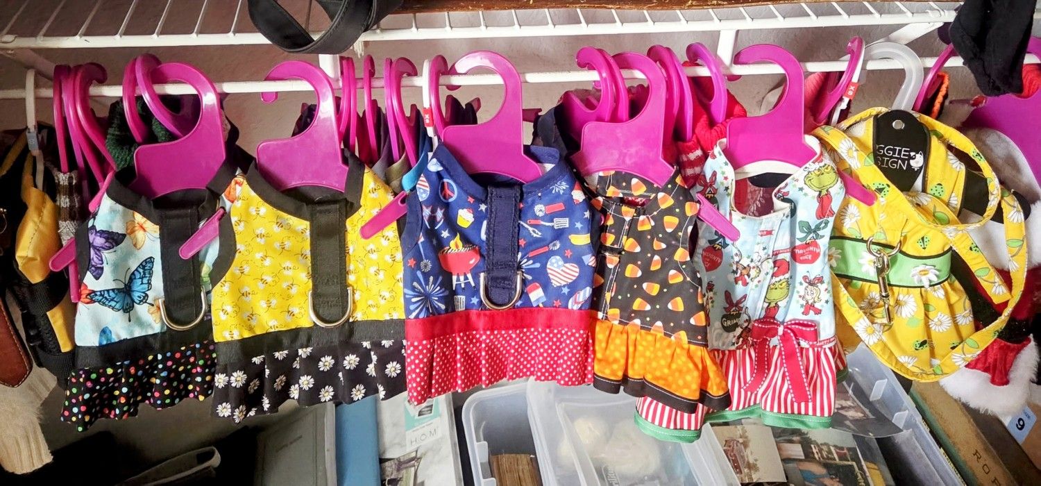 DOG DRESSES
