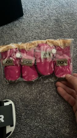Dog shoes
