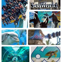 San Diego SeaWorld 