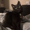 Winnie