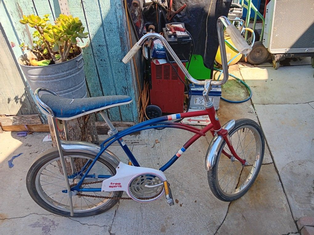Sears Roebuck Schwinn Free Spirit Schwinn Free Spirit Bike Top