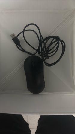 Mouse
