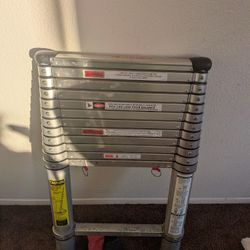 12ft Telescope Ladder
