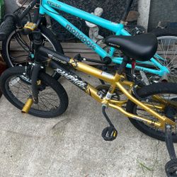 18” Kent Rampage And  20” Mongoose Craze