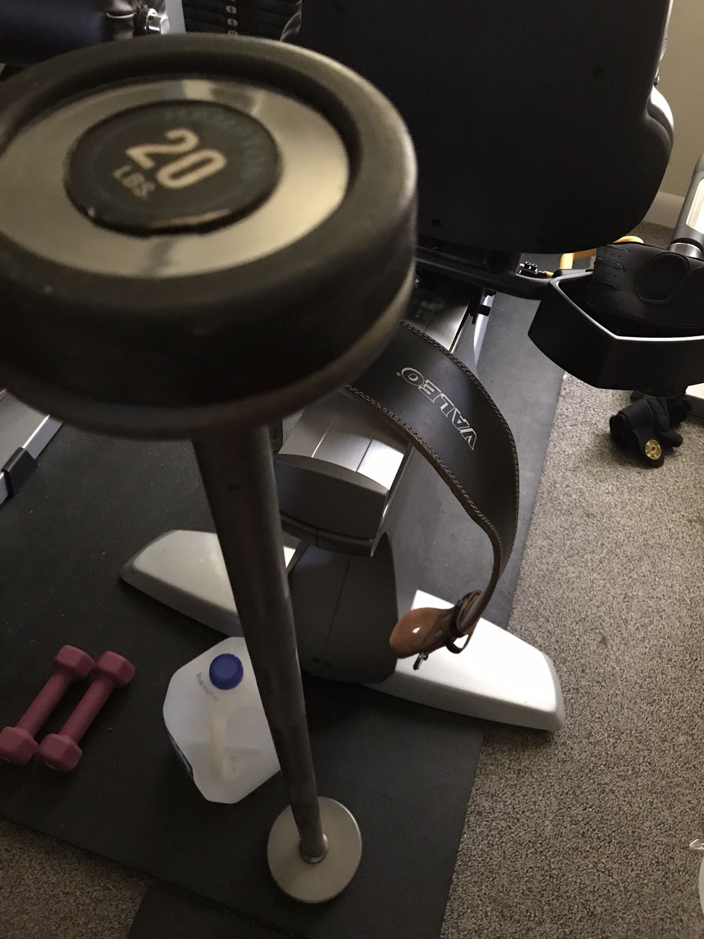 Hampton 20lb fixed straight bar