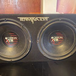 Two 10inch Orion Subwoofers 