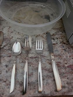Oneida Community SouthSeas Vintage flatware