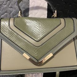 Aldo Purse