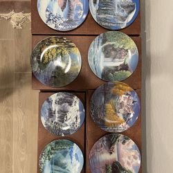 Collector Plates
