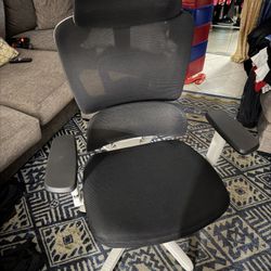 Ergonomic Office Chair w/ Lumbar Support & Adjustable Arms (Like New)