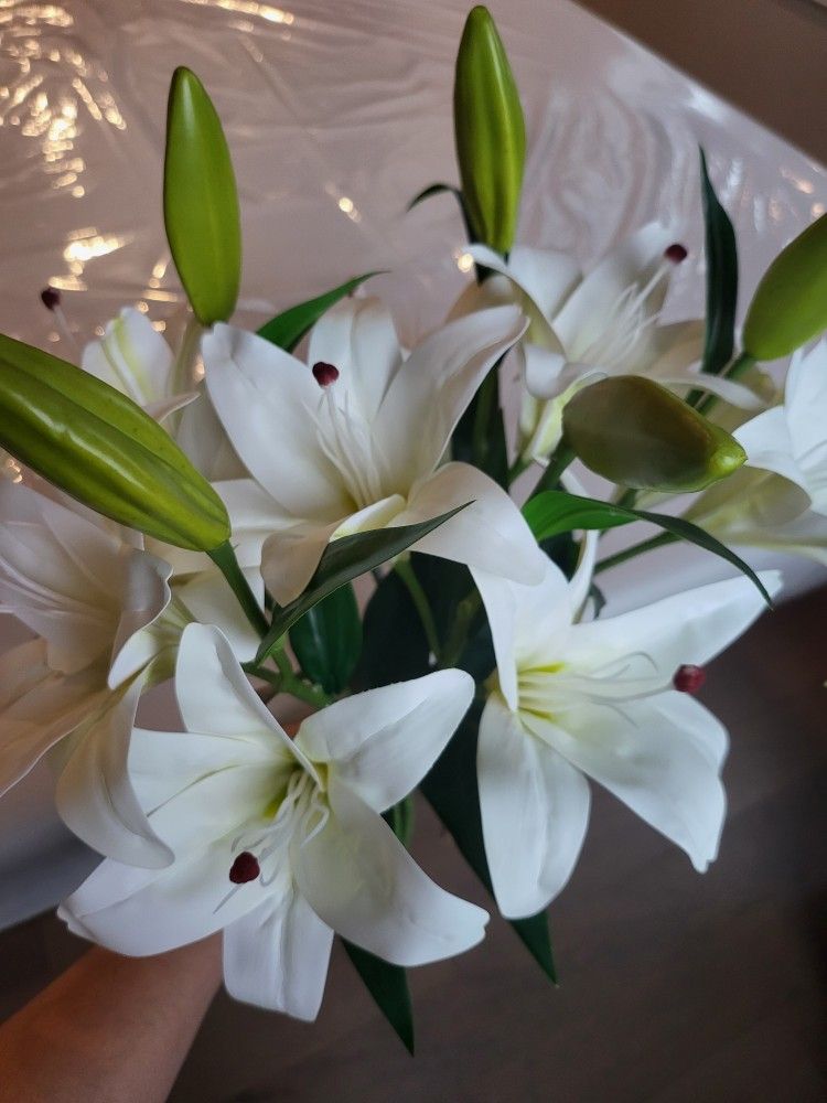 Silk Lilies, New