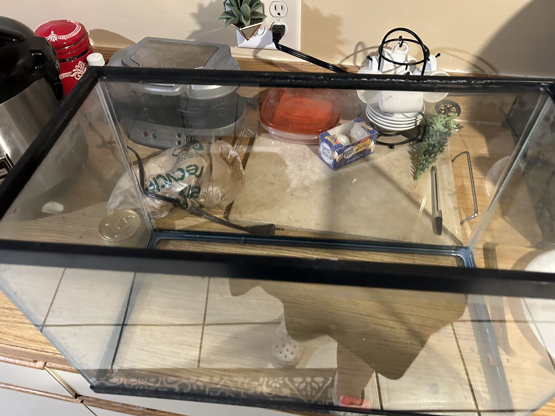 10 Gallon Tank