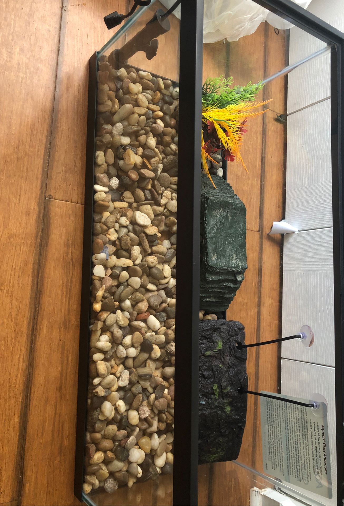 Brand New Never Used Fish/turtle Tank With Rocks