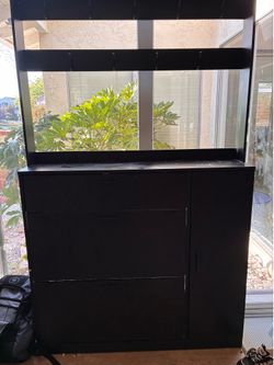 Shoe rack