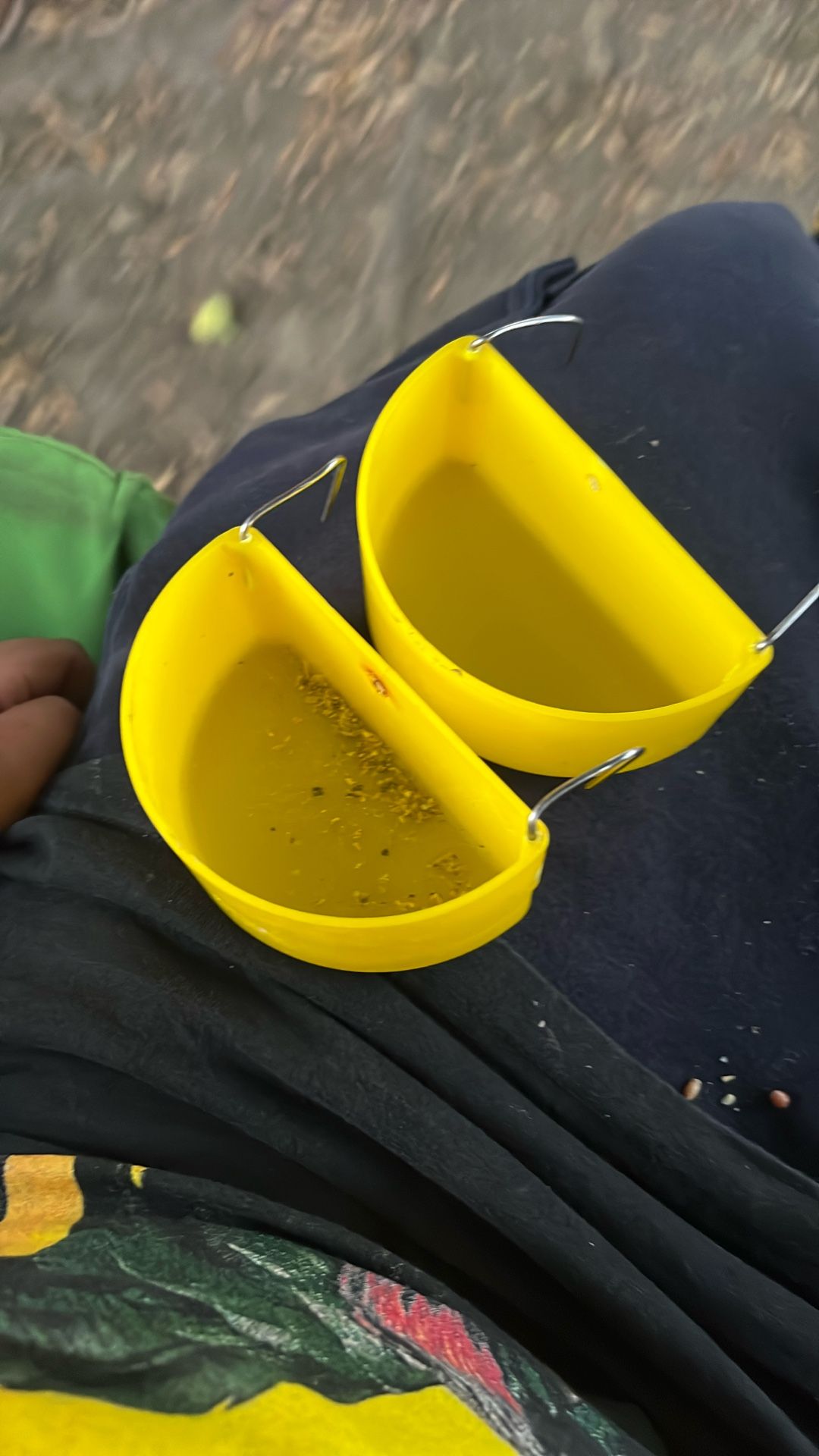 Chicken/rooster Water Or Food Bowl