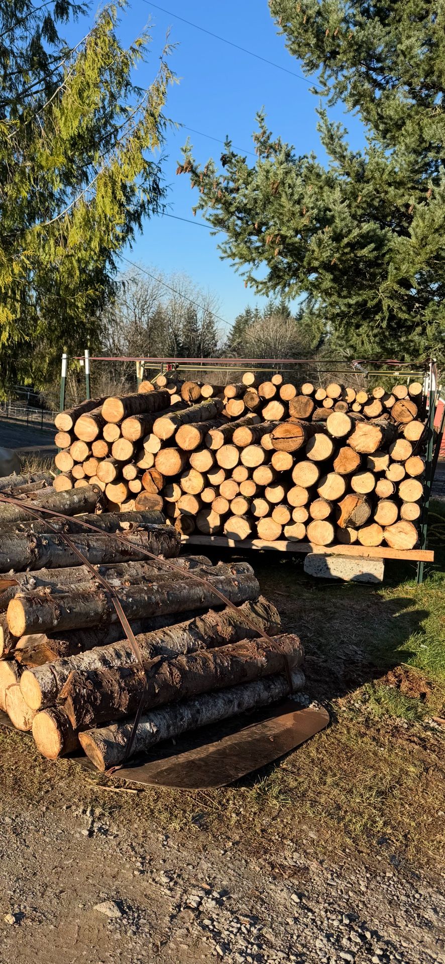 🔥🪵Cheap Firewood 🪵 🔥
