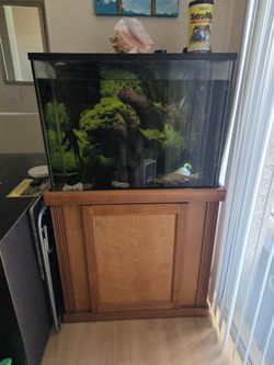 40 Gal Fish Tank With Stand