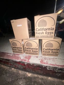 Eggs for sale $20
