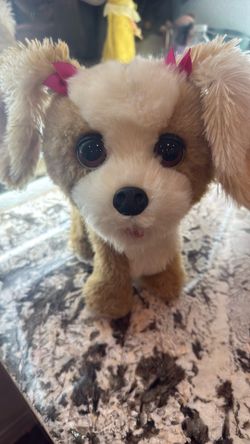 Cute Dog Plushy Collectible