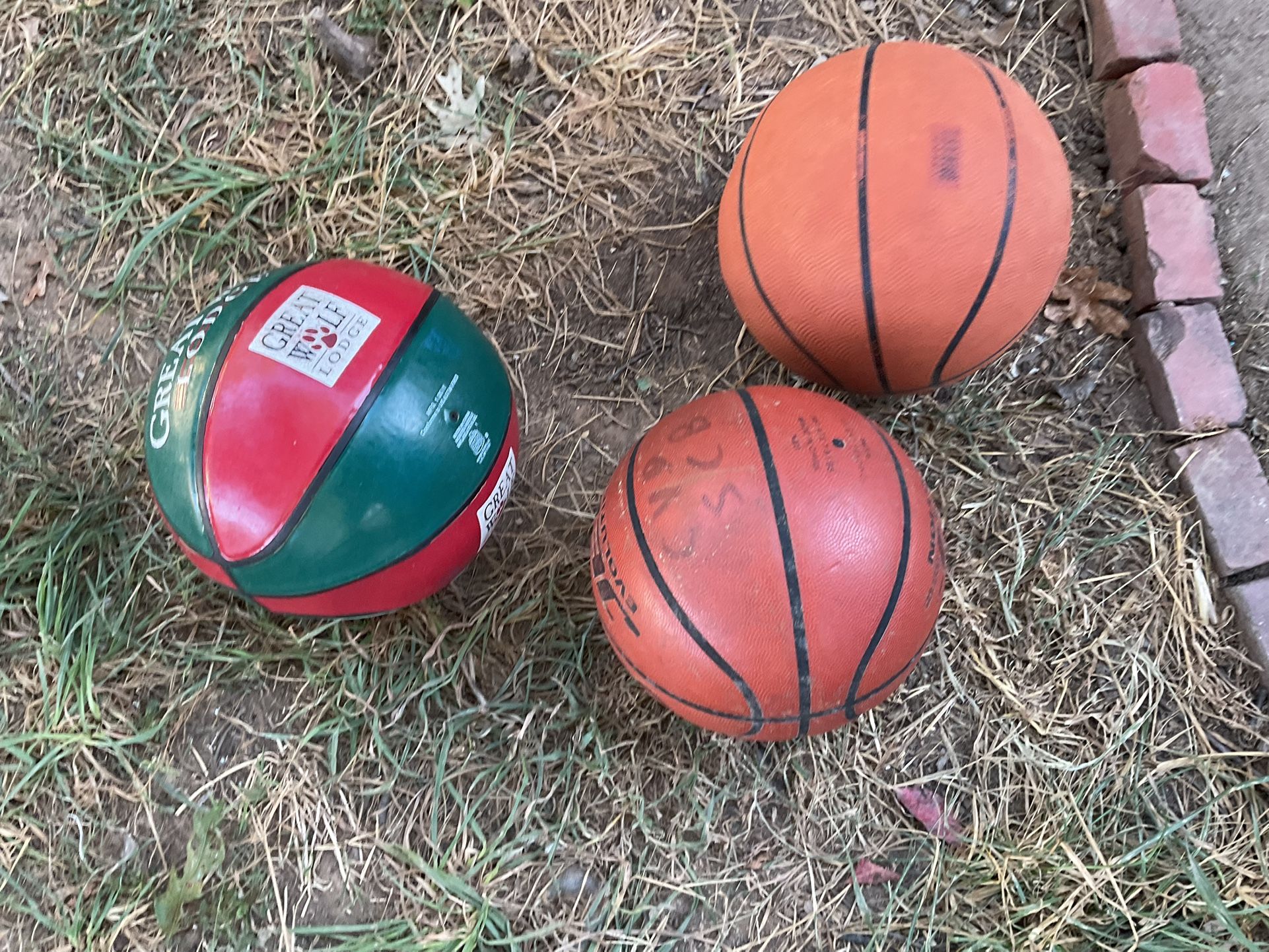 Three Basketballs , Different Colors To Enjoy Outside (NO SHIPPING) All For $10