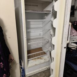 Uptight Freezer Large Size