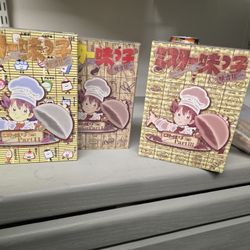 Mister Ajiko DVD Set 