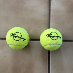 Dog Tennis Balls