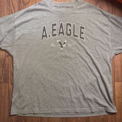 American Eagle Oversize  graphic t-shirt