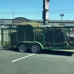 Sod (floratam Grass)