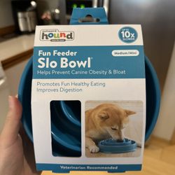 Slow Pet Feeder
