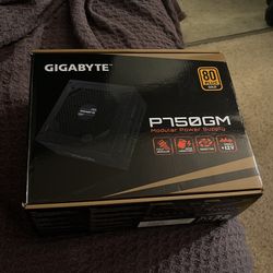 Gigabyte 750w Gold PSU