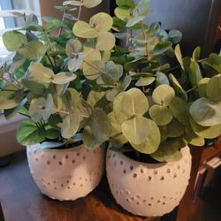 Allen And Roth Artificial Plants $30 