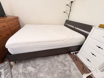 FREE Queen bed frame and backboard