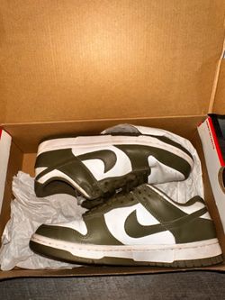Nike dunk✨