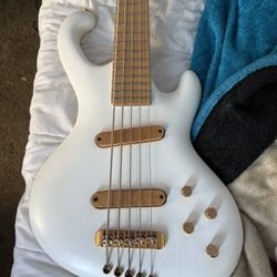 Ritter 5 String Bass 