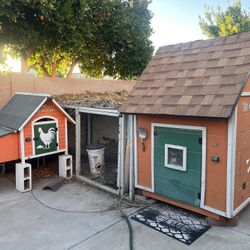 Chicken Coops and Runs