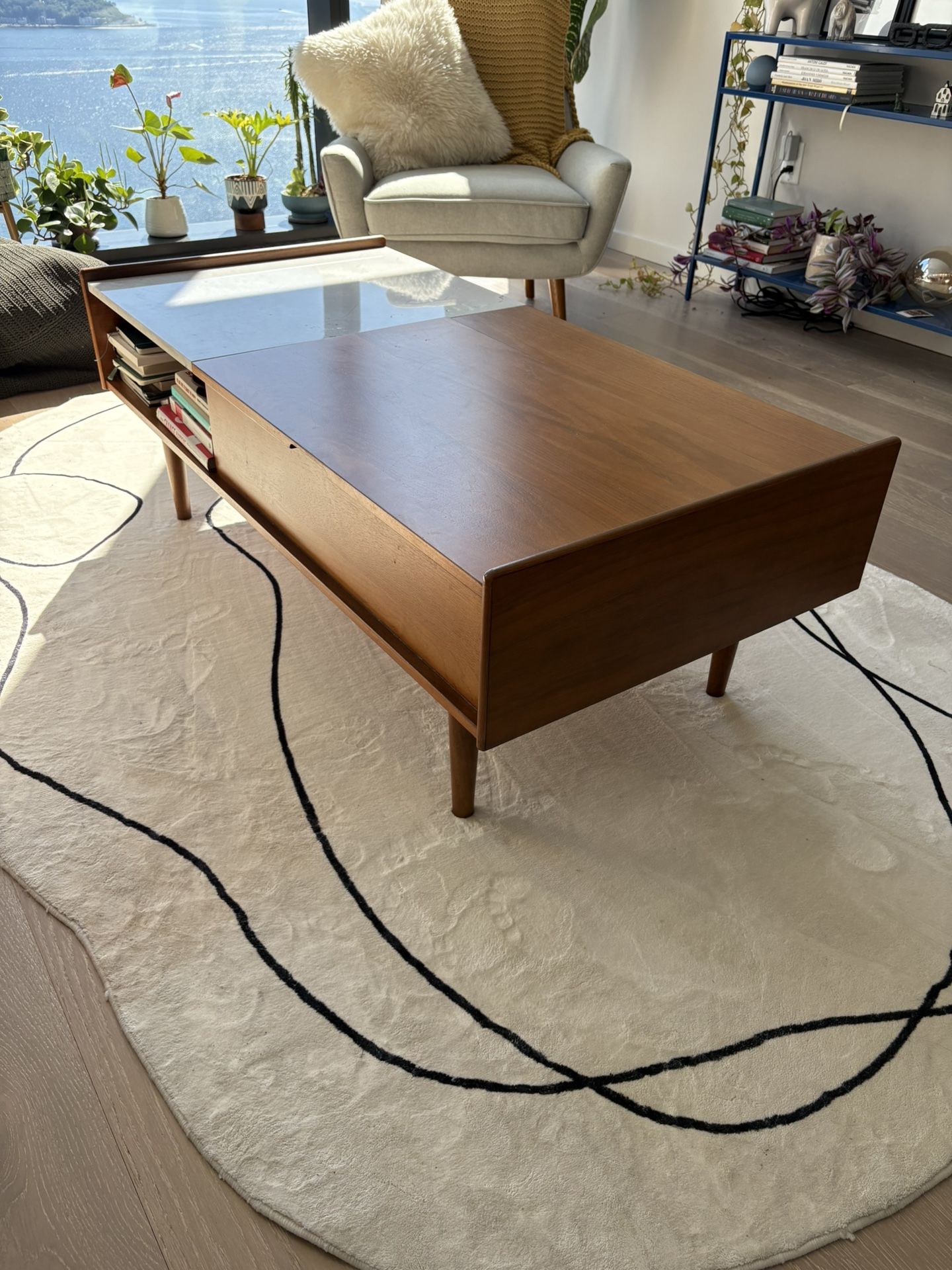 West Elm Coffee Table With Storage