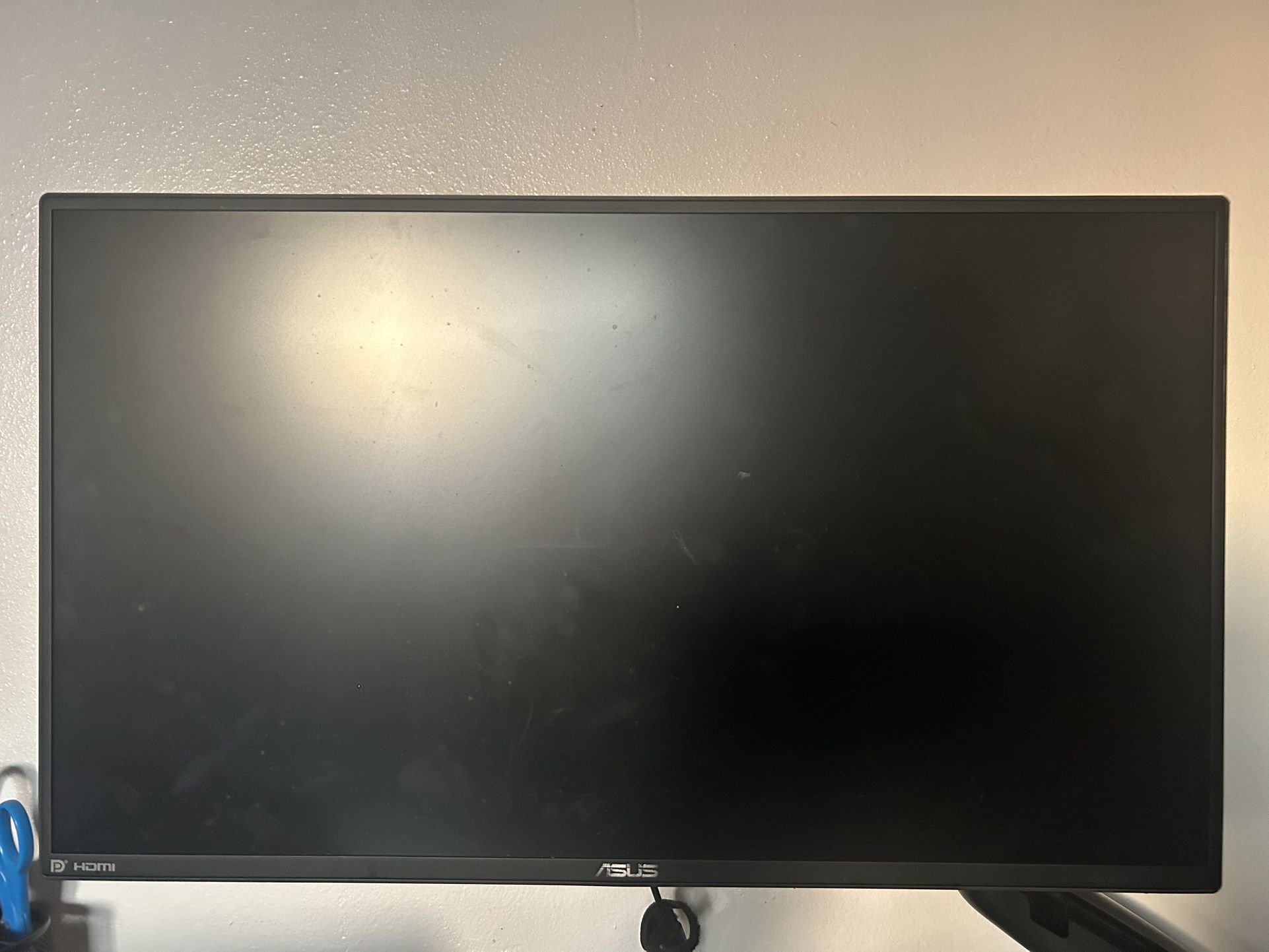 Asus Computer Monitor 24.5”