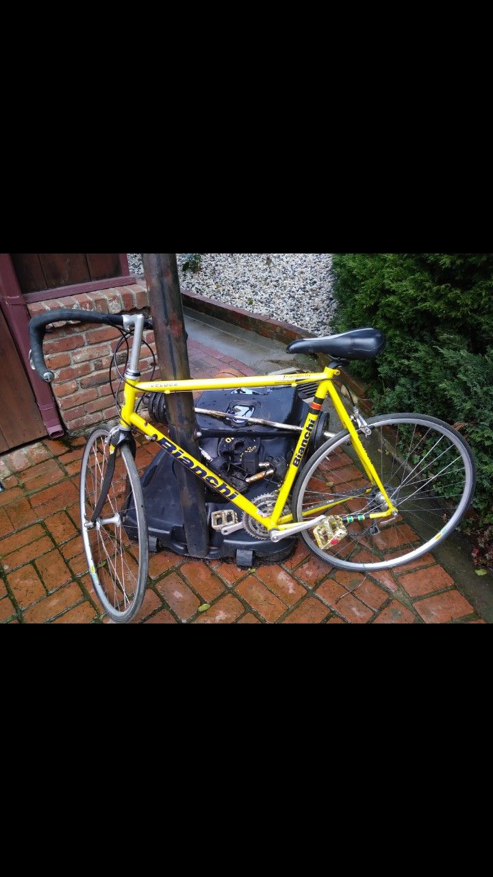 Bianchi 2001 veloce chromlite Reparto corse