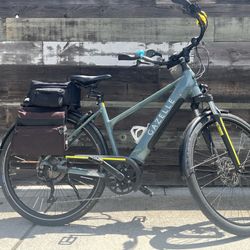 Gazelle Medeo t10+ Ebike