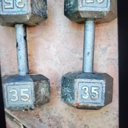 35 Pd Solid Dumbells Firm Price