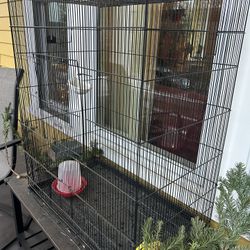 Large Bird Cage