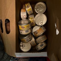 Cat Food