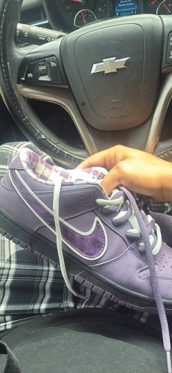 Dunks (Purple Lobsters)